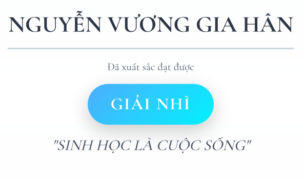 N.V Gia Hân