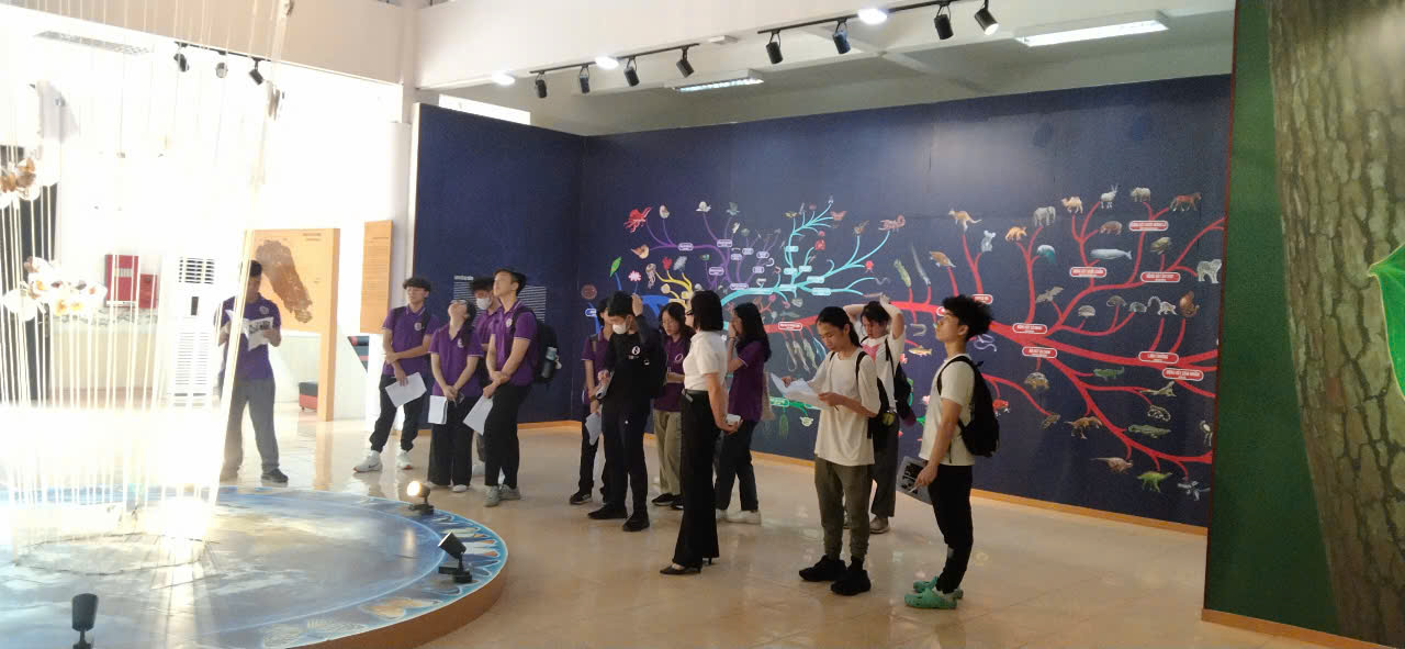 Học tập trải nghiệm